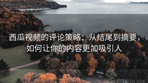 西瓜视频的评论策略：从结尾到摘要，如何让你的内容更加吸引人