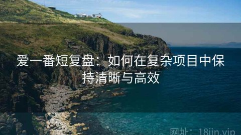 爱一番短复盘：如何在复杂项目中保持清晰与高效