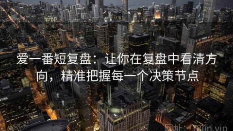 爱一番短复盘：让你在复盘中看清方向，精准把握每一个决策节点