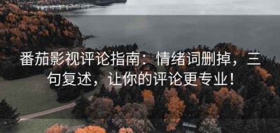 番茄影视评论指南：情绪词删掉，三句复述，让你的评论更专业！