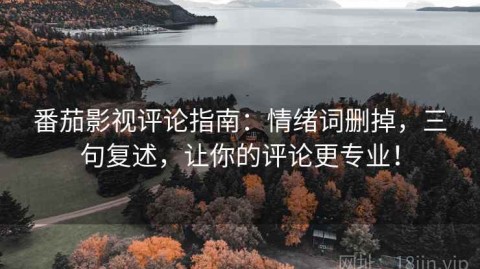 番茄影视评论指南：情绪词删掉，三句复述，让你的评论更专业！
