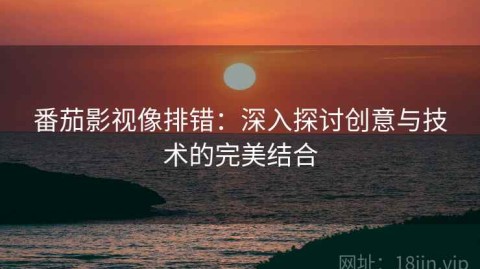 番茄影视像排错：深入探讨创意与技术的完美结合