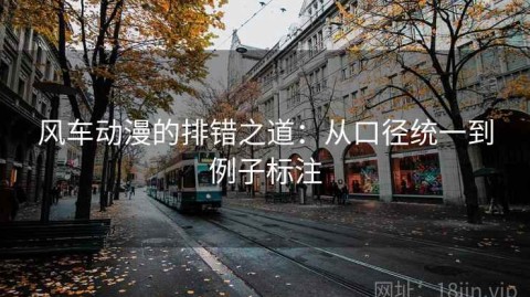 风车动漫的排错之道：从口径统一到例子标注