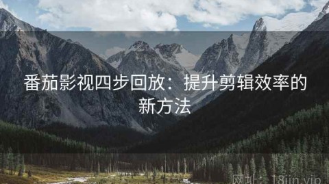 番茄影视四步回放：提升剪辑效率的新方法
