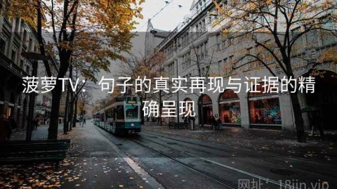 菠萝TV：句子的真实再现与证据的精确呈现