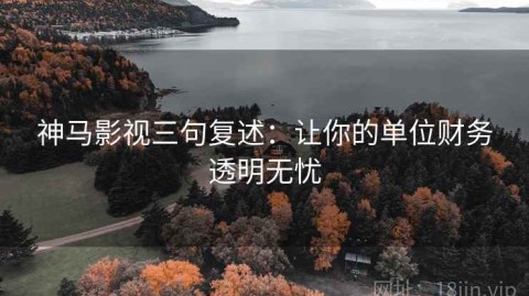 神马影视三句复述：让你的单位财务透明无忧