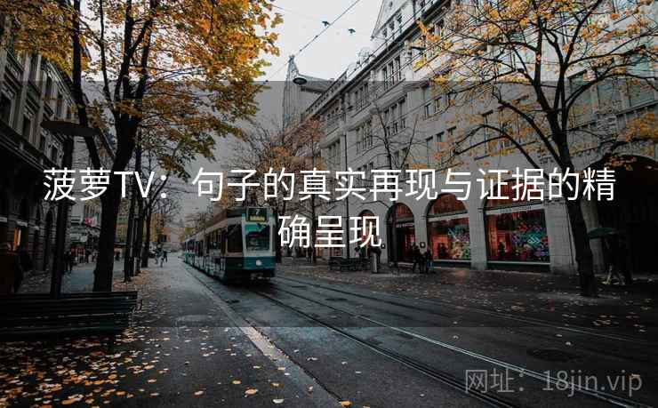 菠萝TV：句子的真实再现与证据的精确呈现