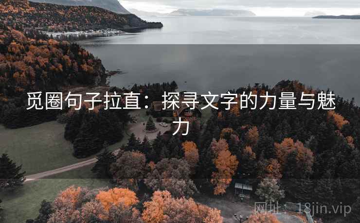 觅圈句子拉直：探寻文字的力量与魅力