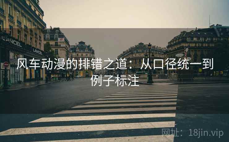风车动漫的排错之道：从口径统一到例子标注