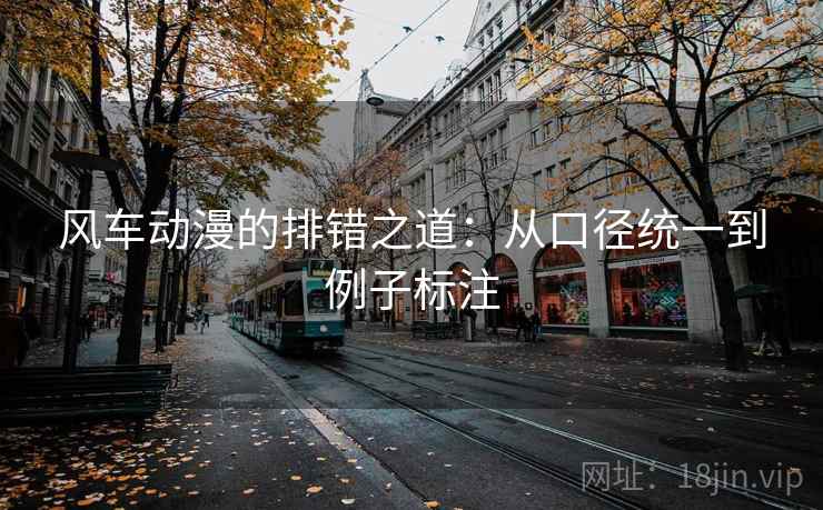 风车动漫的排错之道：从口径统一到例子标注