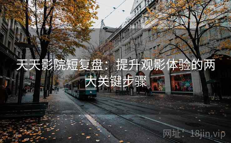 天天影院短复盘：提升观影体验的两大关键步骤