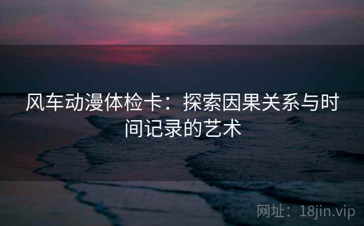 风车动漫体检卡：探索因果关系与时间记录的艺术