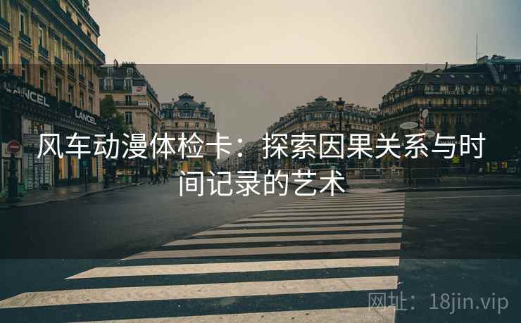 风车动漫体检卡：探索因果关系与时间记录的艺术